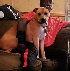 Meet your Posher, Benjamin